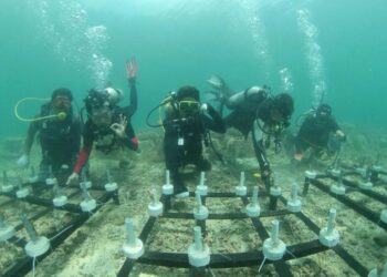 Komitmen Dukung SDGs, Pupuk Kaltim Raih Empat Penghargaan Platinum TJSL dan CSR Award 2023