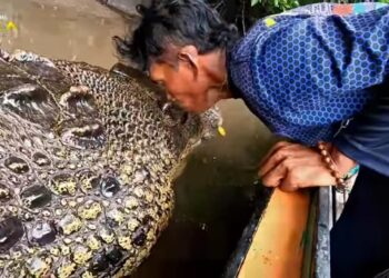Agus Haris Minta Pemerintah Prioritaskan Keamanan Warga Guntung