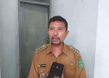 Manfaatkan Lahan Bekas Tambang, Pemerintah Sanga-Sanga bakal Kembangkan Peternakan Sapi