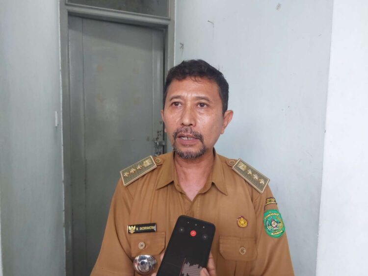 Manfaatkan Lahan Bekas Tambang, Pemerintah Sanga-Sanga bakal Kembangkan Peternakan Sapi