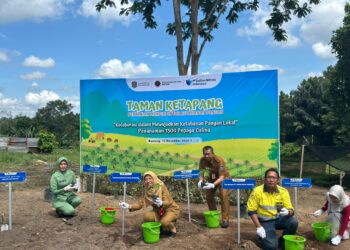 Kolaborasi PT KNI dan Batalyon Arhanud 7/ABC Bontang Ciptakan Taman Ketapang untuk Ketahanan Pangan
