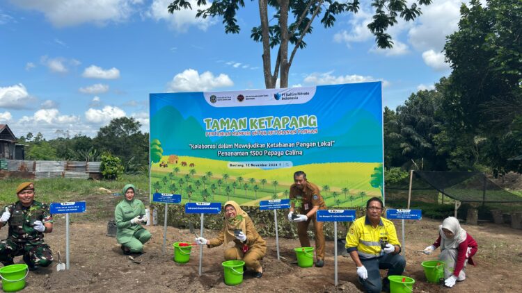 Kolaborasi PT KNI dan Batalyon Arhanud 7/ABC Bontang Ciptakan Taman Ketapang untuk Ketahanan Pangan