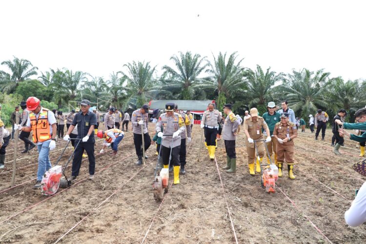 Tanam Jagung Serentak Satu Juta Hektar: Langkah Nyata Menuju Swasembada Pangan 2025