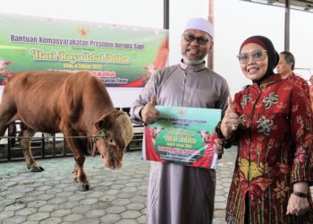Wali Kota Serahkan Sapi Kurban dari Presiden RI ke Takmir Masjid Tua Al-Wahab