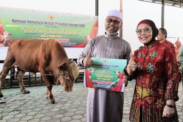 Wali Kota Serahkan Sapi Kurban dari Presiden RI ke Takmir Masjid Tua Al-Wahab