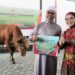 Wali Kota Serahkan Sapi Kurban dari Presiden RI ke Takmir Masjid Tua Al-Wahab
