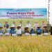 Panen Raya Padi di Lahan Pascatambang, Kukar dan PT Kitadin Jadi Role Model Ketahanan Pangan
