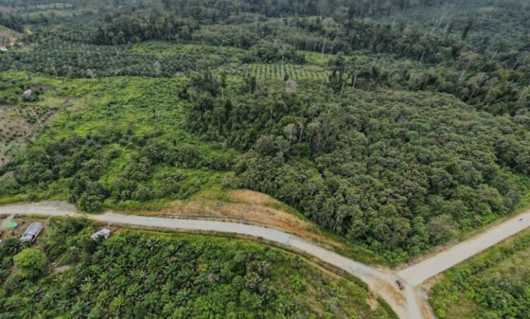 Aspirasi Warga Sangkulirang Diakomodir, Jalur Eksisting Disetujui Jadi Trase Jalan Kutim–Berau