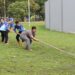 Semarak Lomba Tradisional Antar-OPD Meriahkan HUT ke-80 RI di Kaltim
